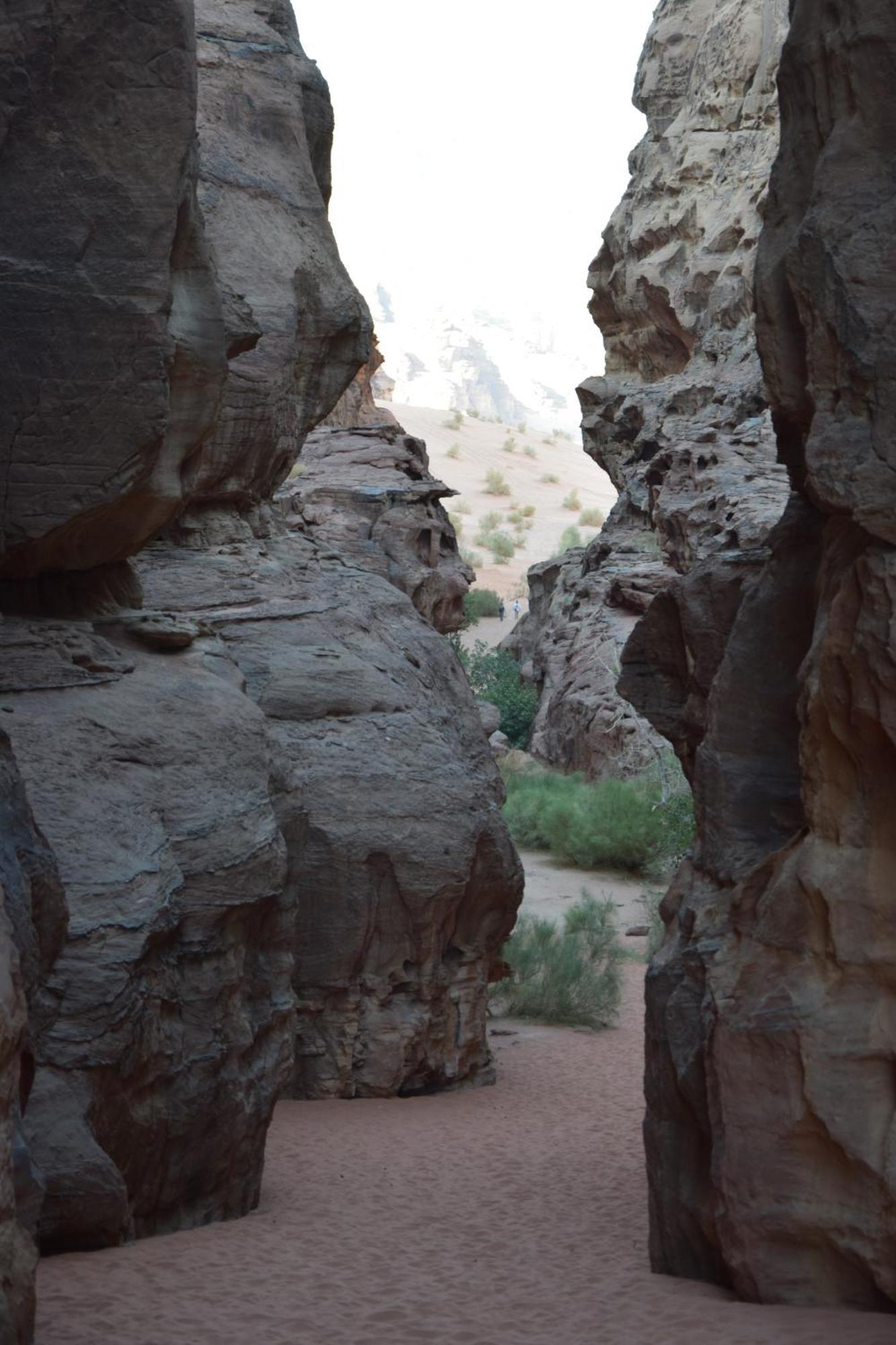 Wadi Rum Nights Exterior photo
