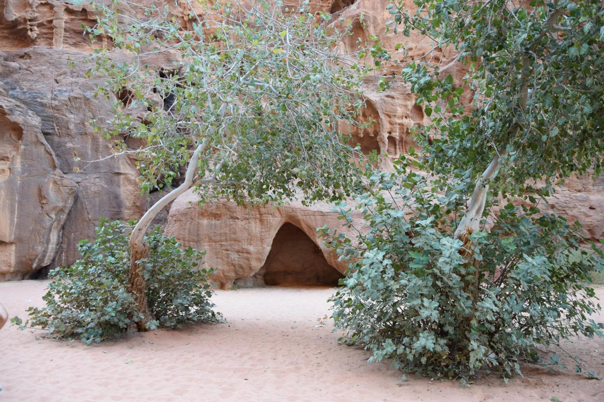 Wadi Rum Nights Exterior photo